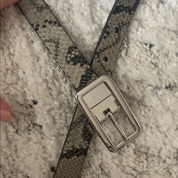EXPRESS SILVER AND SNAKE BELT - Picture 1 of 5